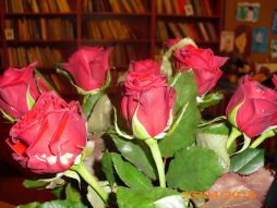 IMG_6278.JPG